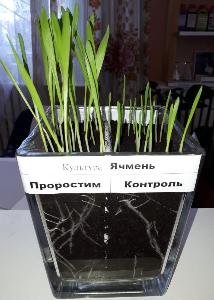 Стимулятор роста растений - органическое удобрение ПроРостим Город Новороссийск IMG-20190325-WA0007.jpg